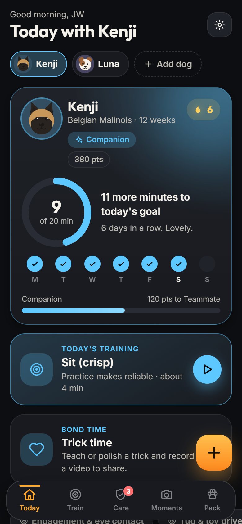 The Today screen: a pack check-in grid with breakfast, lunch, training and walks ticked off for four dogs, plus a streak and pack rank.
